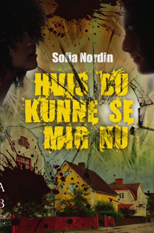 Cover for Sofia Nordin · Hvis du kunne se mig nu (Sewn Spine Book) [1º edição] (2017)