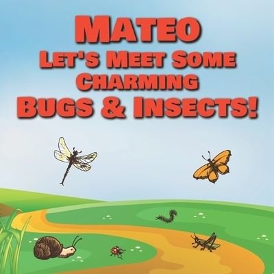 Cover for Chilkibo Publishing · Mateo Let's Meet Some Charming Bugs &amp; Insects! (Taschenbuch) (2020)
