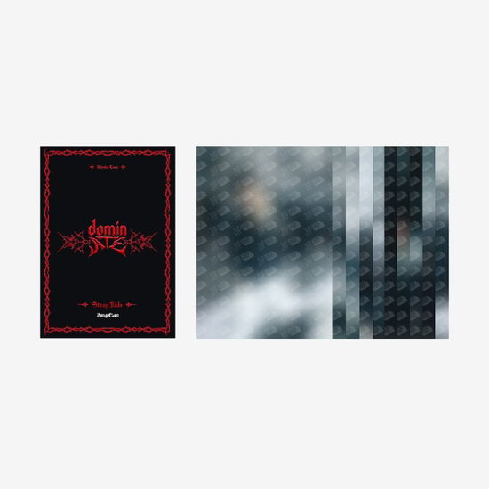 Cover for STRAY KIDS · dominATE SEOUL- Postcard Book (Bok/Merch) [HAN] (2024)