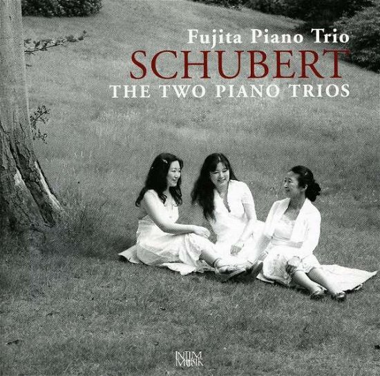 Cover for Schubert / Fujita Piano Trio · Two Piano Trios (CD) (2007)
