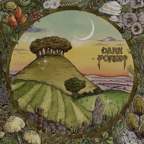 Cover for Dark Forest · Ridge &amp; Furrow (LP) (2022)