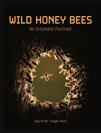 Cover for Ingo Arndt · Wild Honey Bees (Hardcover Book) (2022)