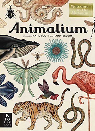 Cover for Jenny Broom · Animalium (Welcome to the Museum) (Hardcover Book) (2014)