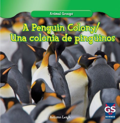 Cover for Autumn Leigh · A Penguin Colony / Una Colonia De Pinguinos (Animal Groups / Grupos De Animales) (Hardcover Book) [Bilingual edition] (2013)