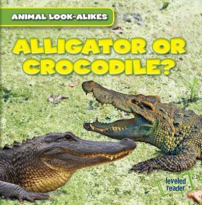 Cover for Rob Ryndak · Alligator or Crocodile? (Paperback Book) (2015)