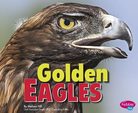 Golden Eagles - Birds of Prey - Melissa Hill - Books - Capstone Press - 9781491423080 - 2015