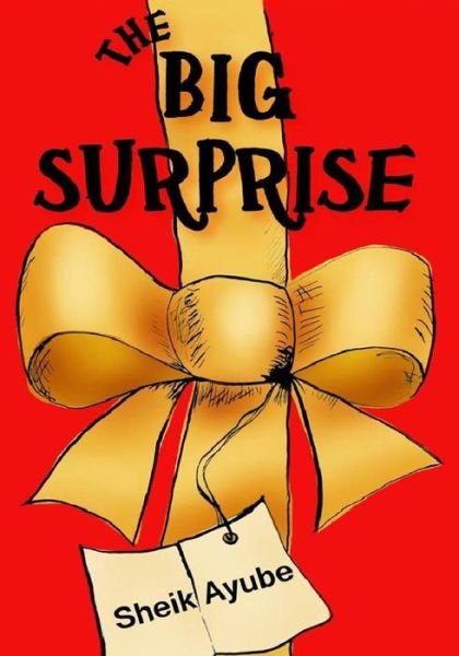 Cover for Sheik Ayube · The Big Surprise (Paperback Book) (2014)