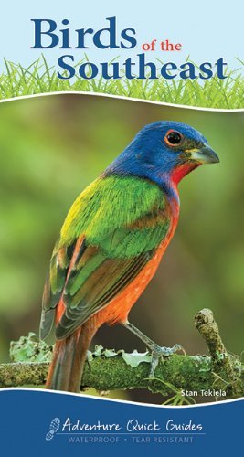 Cover for Stan Tekiela · Birds of the Southeast: Your Way to Easily Identify Backyard Birds - Adventure Quick Guides (Spiralbog) [Spi edition] (2014)