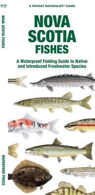 Cover for Waterford Press Waterford Press · Nova Scotia Fishes: A Folding Guide to Native and Introduced Freshwater Species - Pocket Naturalist Guide (Pamphlet) (2023)