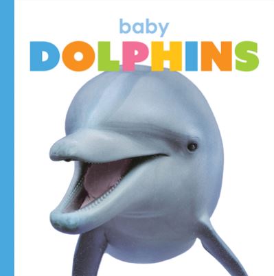 Cover for Kate Riggs · Baby Dolphins (Buch) (2020)