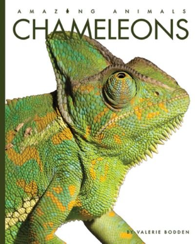 Cover for Valerie Bodden · Chameleons (Buch) (2022)
