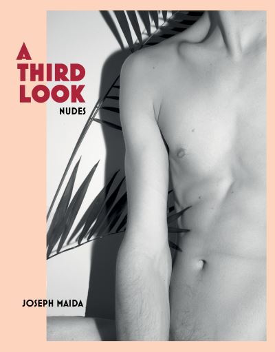 Cover for Joseph Maida · A Third Look (Hardcover Book) (2022)