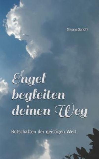 Cover for Silvana Sandri · Engel Begleiten Deinen Weg (Book) (2019)