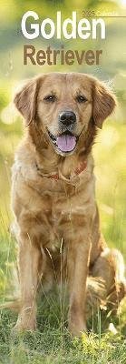 Golden Retriever Slim Calendar 2025 Dog Breed Slimline Calendar - 12 Month (Kalender) (2024)