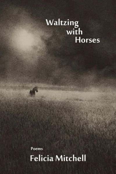 Cover for Felicia Mitchell · Waltzing with Horses (Pocketbok) (2014)