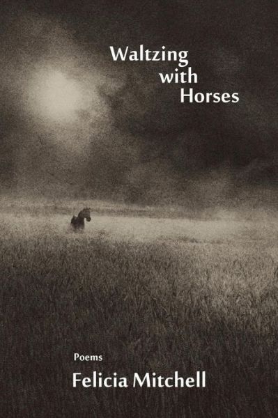 Cover for Felicia Mitchell · Waltzing with Horses (Paperback Book) (2014)