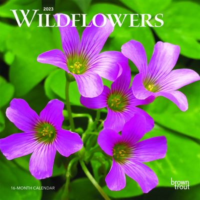 Cover for Browntrout · Wildflowers 2023 Mini 7x7 (Calendar) (2022)