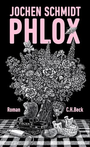 Cover for Jochen Schmidt · Phlox (Buch) (2022)