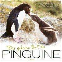 Cover for Kaula · Die geheime Welt der Pinguine (Book)