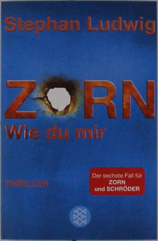 Cover for Zorn 6 Fischer Tb.03608 Ludwig · Fischer TB.03608 Ludwig, Zorn 6 - Wie d (Book)