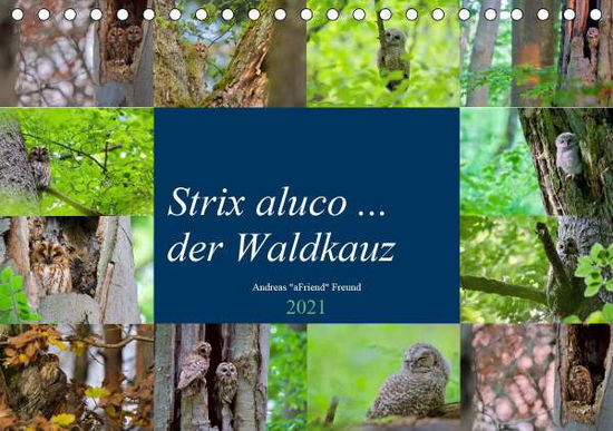 Cover for Freund · Strix aluco ... der Waldkauz (Ti (Book)