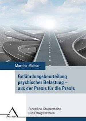 Cover for Molnar · Gefährdungsbeurteilung psychisch (Bok)