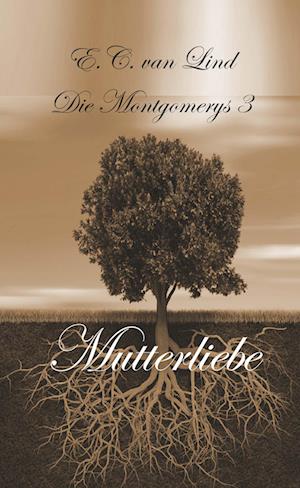 Die Montgomerys Band 3 - Elenay Christine van Lind - Books - Buchschmiede - 9783991653080 - March 28, 2024