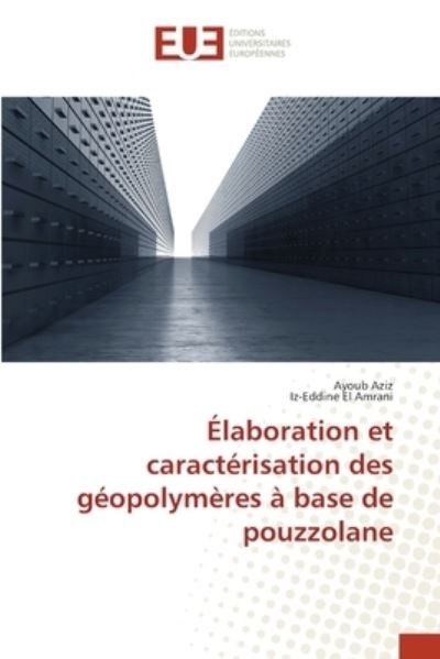 Cover for Aziz · Élaboration et caractérisation des (Book) (2019)