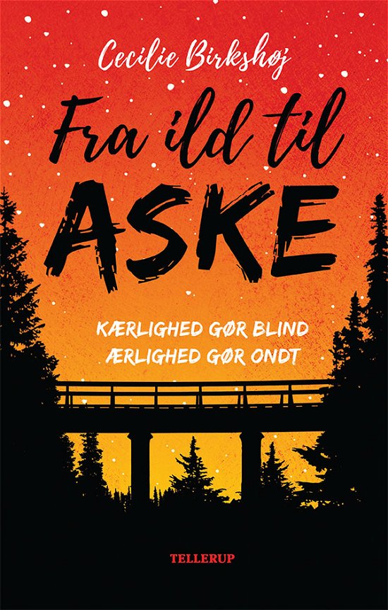 Det ingen ser: Fra ild til aske - Cecilie Birkshøj - Bøker - Tellerup A/S - 9788758839080 - 22. april 2020