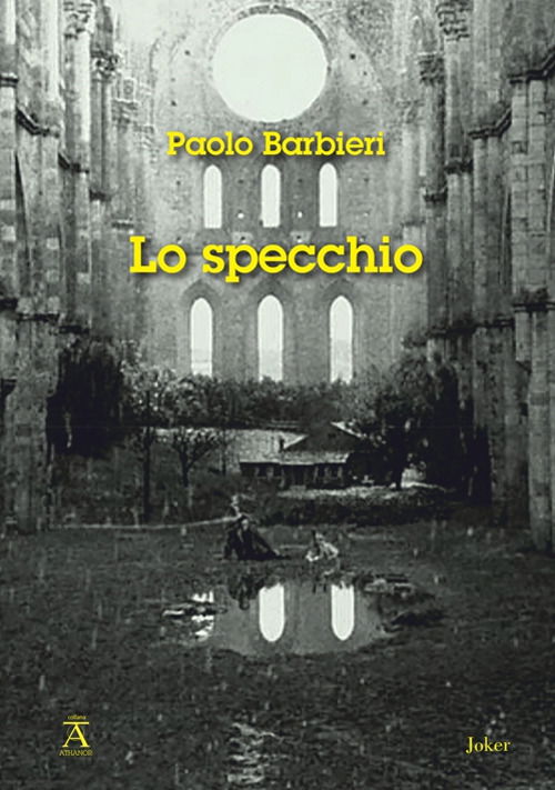 Cover for Paolo Barbieri · Lo Specchio (Book)