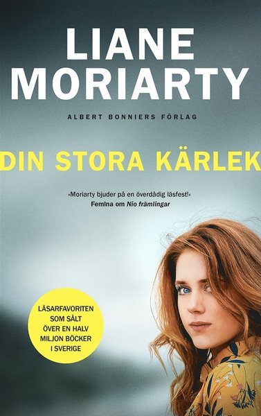 Din stora kärlek - Liane Moriarty - Bøger - Albert Bonniers Förlag - 9789100183080 - 4. august 2020