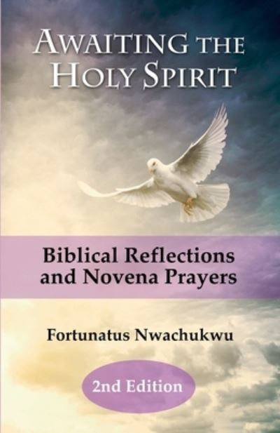 Cover for Fortunatus Nwachukwu · Awaiting the Holy Spirit (Paperback Book) (2021)