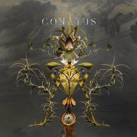 Conatus - Joep Beving - Muzyka - CLASSICAL - 0028948352081 - 2 listopada 2018