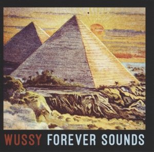 Forever Sounds - Wussy - Musikk - DAMNABLY - 0603728489081 - 4. mars 2016