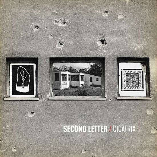 Cover for Second Letter · Cicatrix (LP) [Coloured edition] (2018)