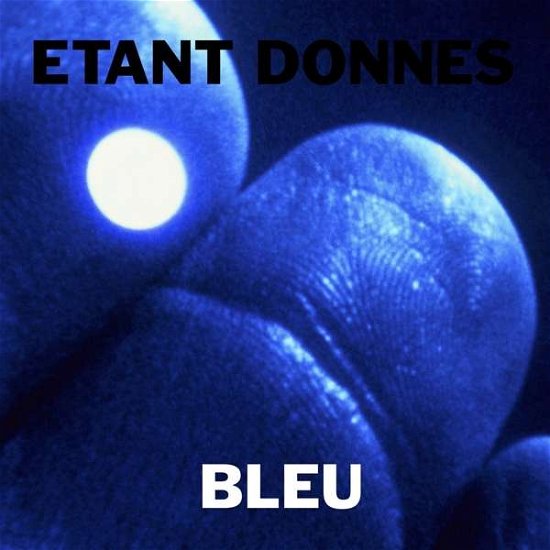 Bleu - Etant Donnes - Musik - PENULTIMATE PRESS - 5056321658081 - 14 januari 2022