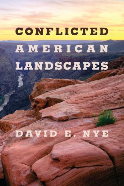 Conflicted American Landscapes - David E. Nye - Książki - MIT Press Ltd - 9780262542081 - 27 kwietnia 2021