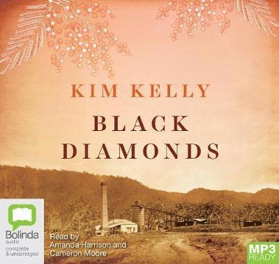 Cover for Kim Kelly · Black Diamonds (Książka audio (MP3)) [Unabridged edition] (2019)