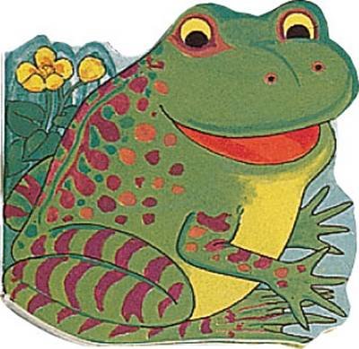 Cover for M. Twinn · Pocket Frog - Pocket Pals (Board book) (1995)