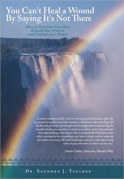 Cover for Saundra J Taulbee · You Can't Heal a Wound by Saying It's Not There: How to Overcome Your Past, Rebuild Your Present, and Embrace Your Future (Hardcover Book) (2012)