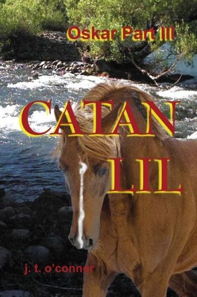 Cover for J T O\'connor · Catan Lil (Oskar Part Iii): Catan Lil: Oskar Part III (Paperback Book) (2014)