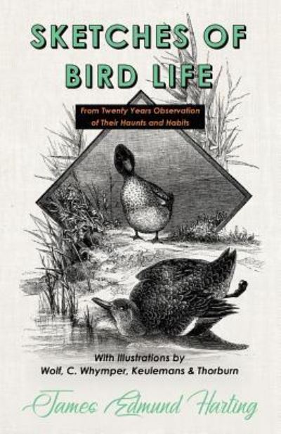 Sketches of Bird Life - From Twenty Years Observation of Their Haunts and Habits - With Illustrations by Wolf, C. Whymper, Keulemans, and Thorburn - James Edmund Harting - Books - Read Country Books - 9781528708081 - December 14, 2018