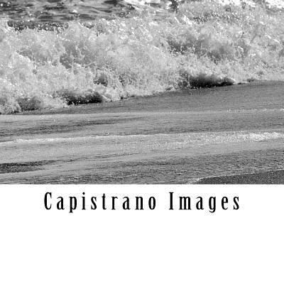 Cover for Joseph Fleming · Capistrano Images (Paperback Book) (2016)