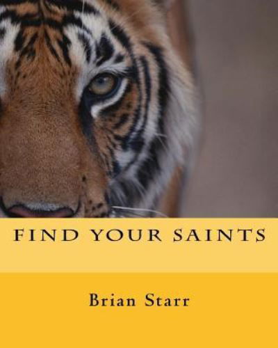 Cover for MR Brian Daniel Starr · Find Your Saints (Taschenbuch) (2017)