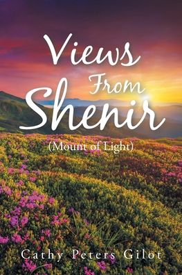 Cover for Cathy Peters Gilot · Views From Shenir (Mount of Light) (Paperback Book) (2021)