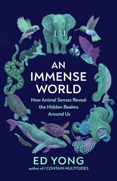 Cover for Ed Yong · An Immense World: How Animal Senses Reveal the Hidden Realms Around Us (THE SUNDAY TIMES BESTSELLER) (Innbunden bok) (2022)