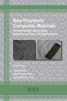 Cover for Dr Inamuddin · New Polymeric Composite Materials (Paperback Book) (2016)