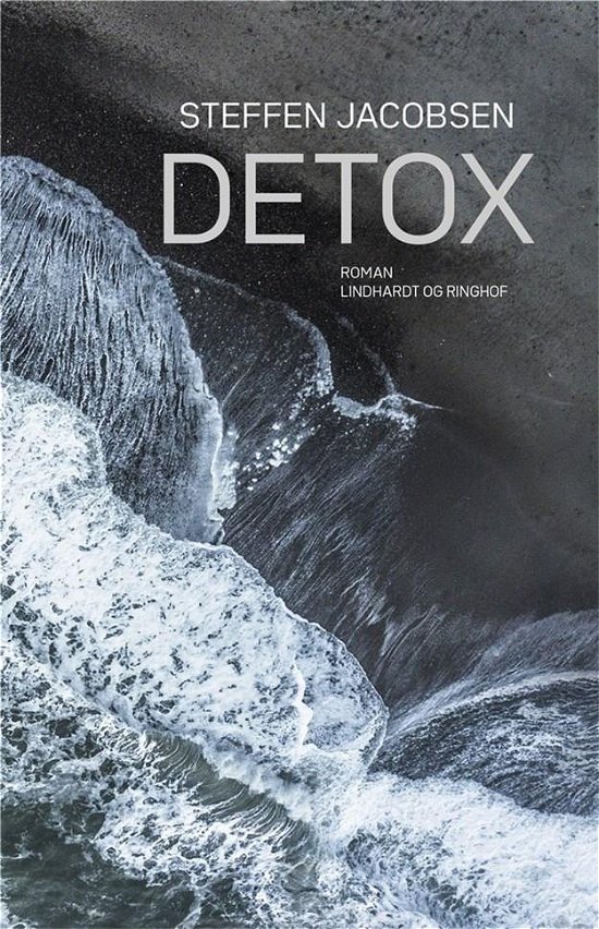 Cover for Steffen Jacobsen · Detox (Sewn Spine Book) [1st edition] (2021)
