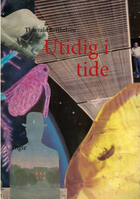 Cover for Thorvald Berthelsen · Utidig i tide (Paperback Bog) [1. udgave] [Paperback] (2010)