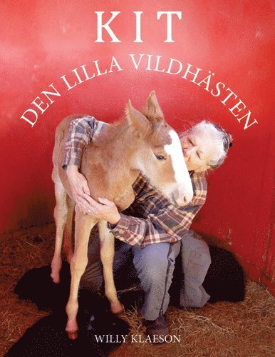 Cover for Willy Klaeson · Kit - den lilla vildhästen (Inbunden Bok) [Ned edition] (2015)